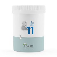 BIOCHEMIE Pflüger 11 Silicea D 12 Pulver - 250g