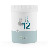 BIOCHEMIE Pflüger 12 Calcium sulfuricum D 6 Pulver - 250g