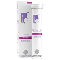 MULTI-MAM LactaMax Brausetabletten - 20St