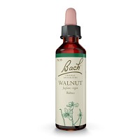 BACHBLÜTEN Original 33 Walnut Tropfen - 10ml