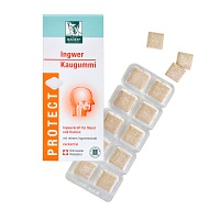 BADERS Protect Gum Ingwer - 20St