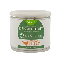 IGELSTACHELBART Pilzpulver - 90g