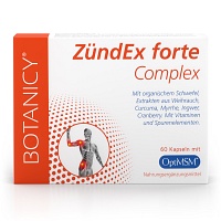 ZÜNDEX forte Complex mit OptiMSM Kapseln - 60St