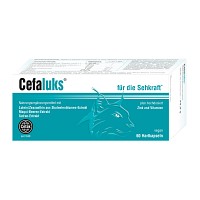 CEFALUKS Hartkapseln - 60St