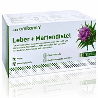 AMITAMIN Mariendistel+Leber Kapseln - 120St
