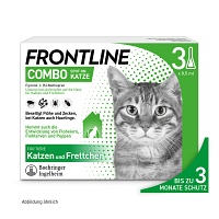 FRONTLINE Combo Spot on Katze Lsg.z.Auft.a.Haut - 3St