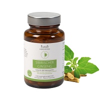 SIBIRISCHER Ginseng hochdosiert vegan Kapseln - 60St