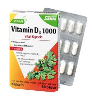 VITAMIN D3 1000 I.E. vegan Kapseln Salus - 30St