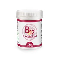 B12 PHOSPHOLIPID Dr.Jacob\'s Pulver - 80g