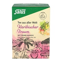 KARIBISCHER Traum Bio Salus Filterbeutel - 15St