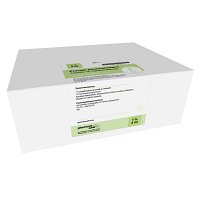PROCAIN pharmarissano 1% Inj.-Lsg.Ampullen 2 ml - 200X2ml