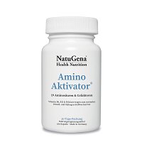 AMINOAKTIVATOR Aminosäuren+Vit.B6+B9+B12 vegan Kps - 180St