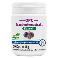 OPC TRAUBENKERNEXTRAKT+Vitamin C Kapseln - 60St