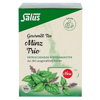 MINZ TRIO Gourmet Tee Bio Salus Filterbeutel - 15St