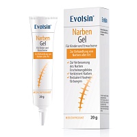 EVOLSIN Narben Gel - 20g