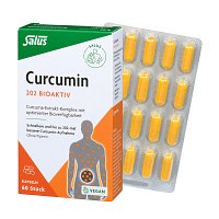 CURCUMIN 202 Bioaktiv Kapseln Salus - 60St