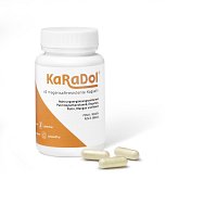 KARADOL magensaftresistente Kapseln - 60St