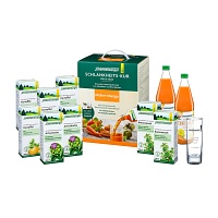 SCHLANKHEITSKUR Möhre-Mango Bio Schoenenberger - 1P