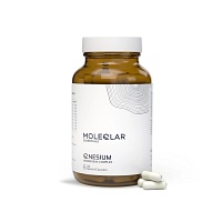 MOLEQLAR LONGEVITY QNESIUM Magnesium Complex Kaps. - 120St