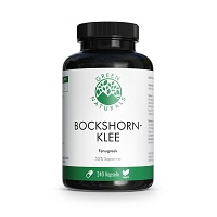 GREEN NATURALS Bockshornklee 2600 mg+Saponine Kps. - 240St