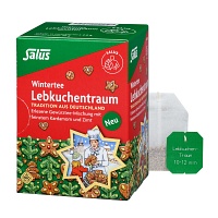 SALUS Lebkuchentraum Bio Filterbeutel - 15St