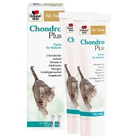 DOPPELHERZ für Tiere Chondro Plus Paste f.Katzen - 2X100g