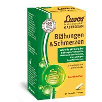 LUVOS Gastrosan Blähungen & Schmerzen Kapseln - 30St