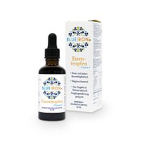 BLUEIRON Eisentropfen+Vitamin C - 50ml