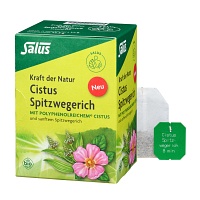 CISTUS SPITZWEGERICH Tee Bio Filterbeutel - 15St