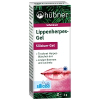 HÜBNER Lippenherpes-Gel - 2g