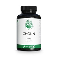 GREEN NATURALS Cholin 600mg hochdosiert vegan Kps. - 120St