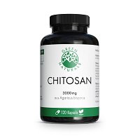 GREEN NATURALS Cholesterin Chitosan 3g vegan Kaps. - 120St