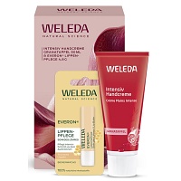 WELEDA Geschenkset Intenstiv Handcre.& Everon 2026 - 1St