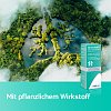 geigenfeige toom Geigenfeige 'Ficus lyrata'
