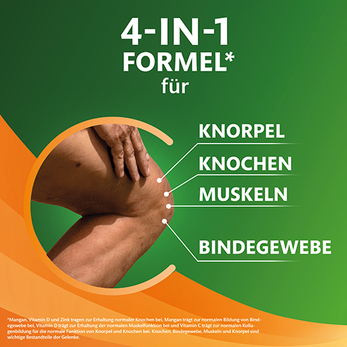 4-In-1 Formel* für Knorpel, Knochen, Muskeln, Bindegewebe.