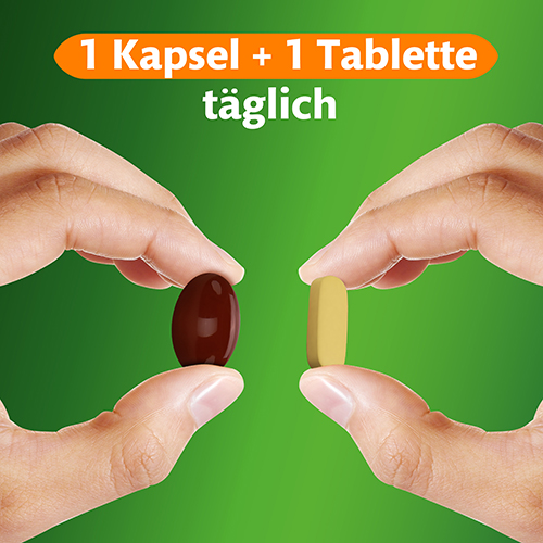 1 Kapsel + 1 Tablette täglich