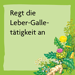pds_Gallexier_bild1.jpg