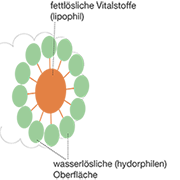 pds_arcumin_plus_bild2.png