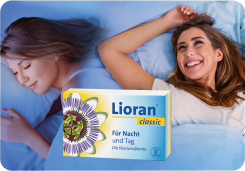 pds_lioran_classic_bild5.png