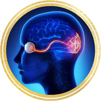 pds_occuvite_citicolins_b4.png
