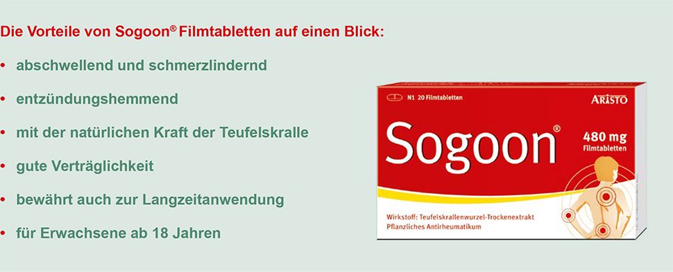 pds_sogoon_tabletten_bild2.jpg