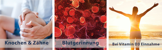 pds_vitamaze_vitamin-k_wirkung.jpg